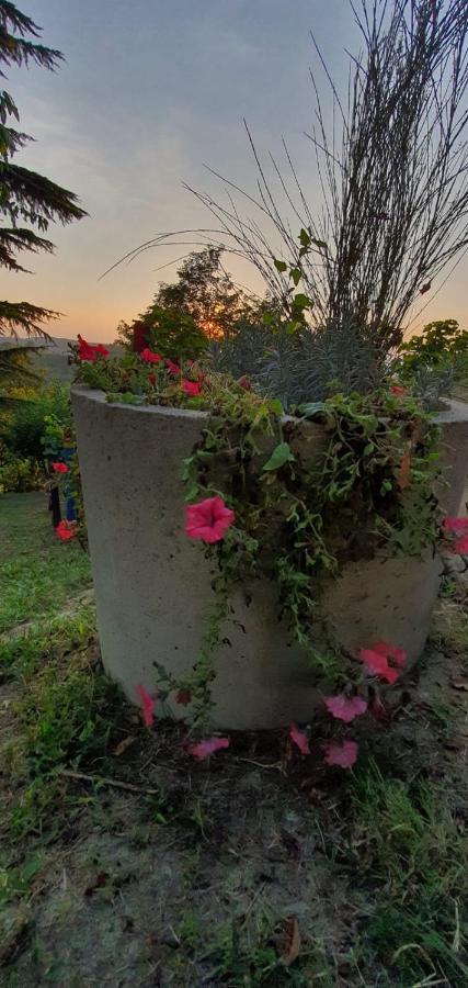 Le Rose Di Mapi Villa Mango Екстериор снимка