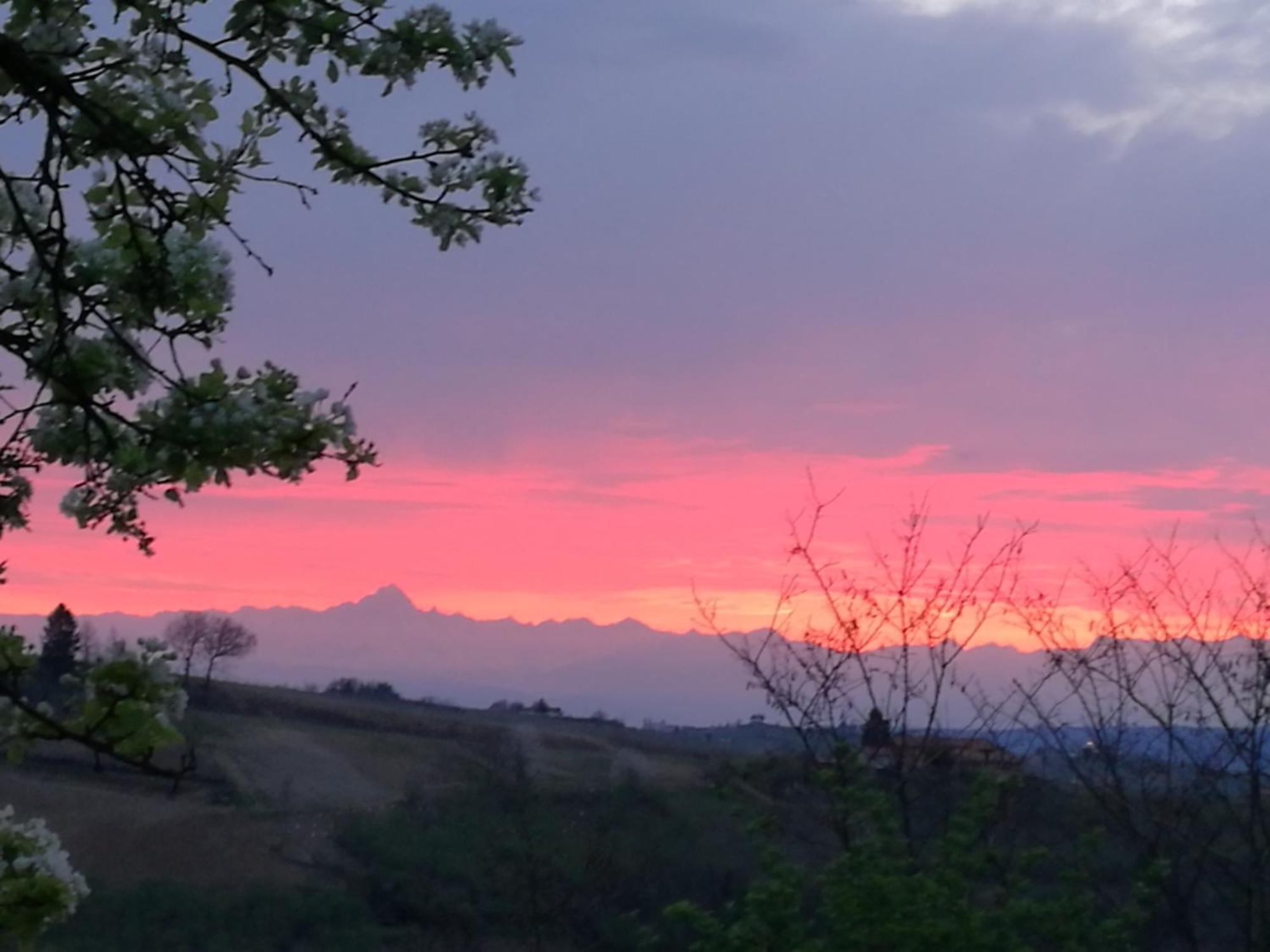 Le Rose Di Mapi Villa Mango Екстериор снимка