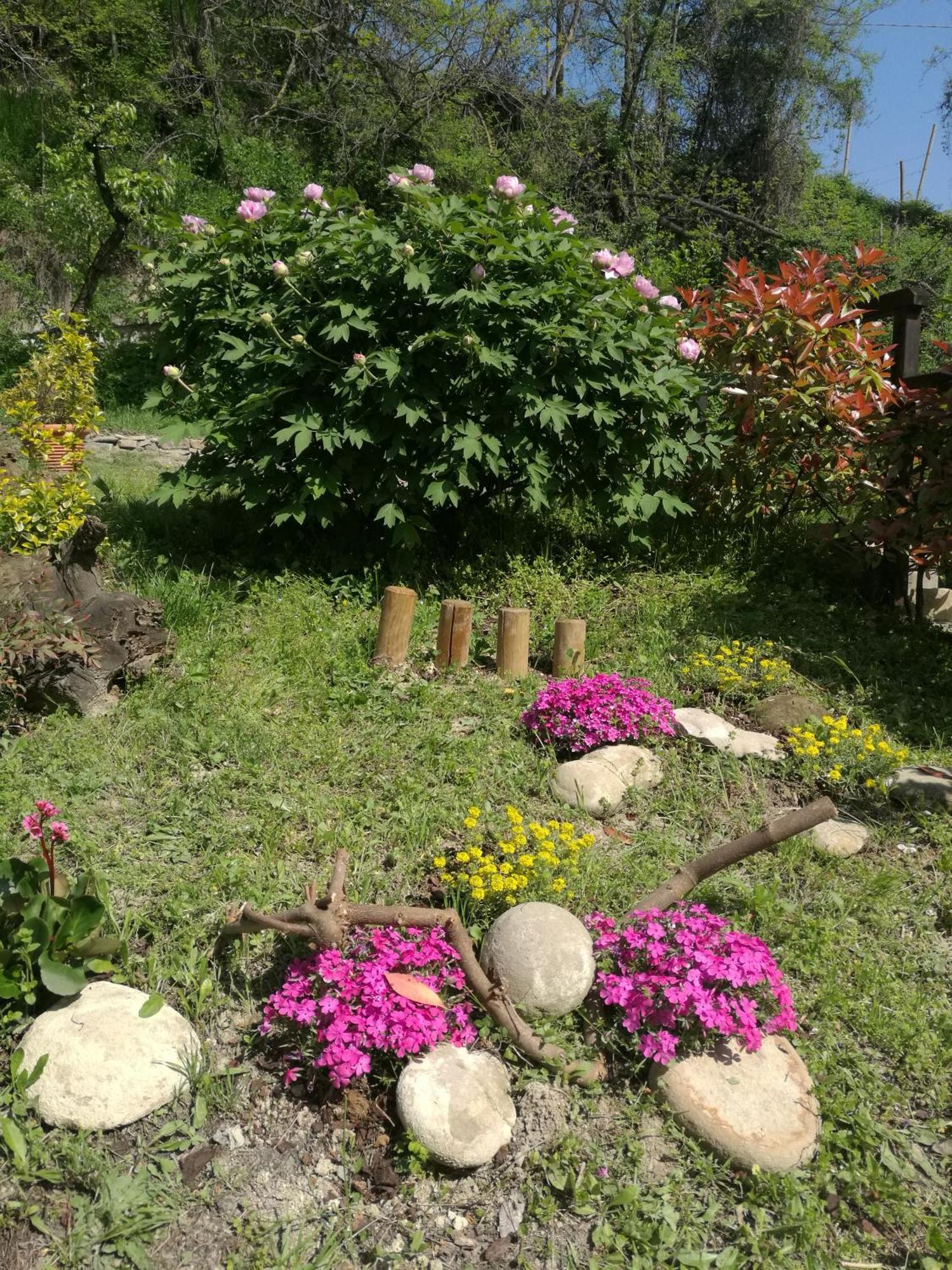 Le Rose Di Mapi Villa Mango Екстериор снимка